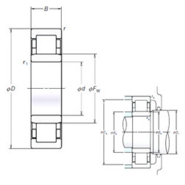 Original SKF Cylindrical Roller Bearings NU205EM NSK #1 image