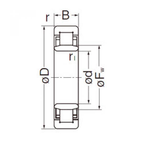 Original SKF Cylindrical Roller Bearings NU205EG NACHI #1 image