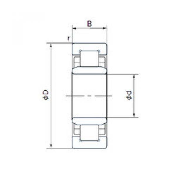 Original SKF Cylindrical Roller Bearings NU219T NACHI #1 image