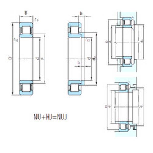 Original SKF Cylindrical Roller Bearings NUJ1060 PSL #1 image