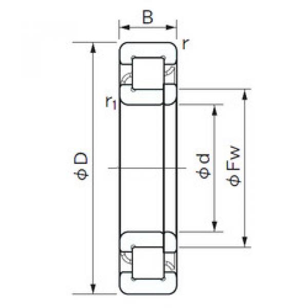 Original SKF Cylindrical Roller Bearings NUP 1006 NACHI #1 image