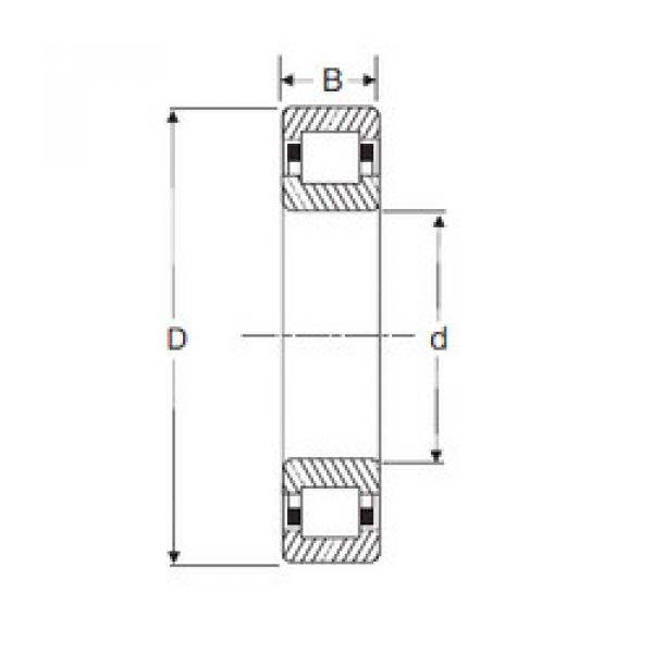 Original SKF Cylindrical Roller Bearings NUP 204 SIGMA #1 image