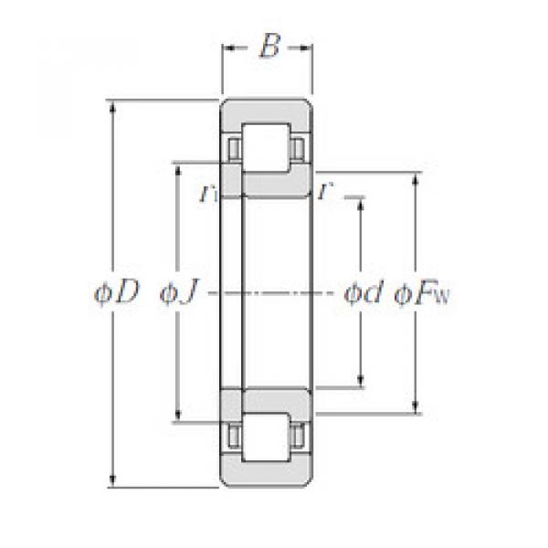 Original SKF Cylindrical Roller Bearings NUP1005 NTN #1 image