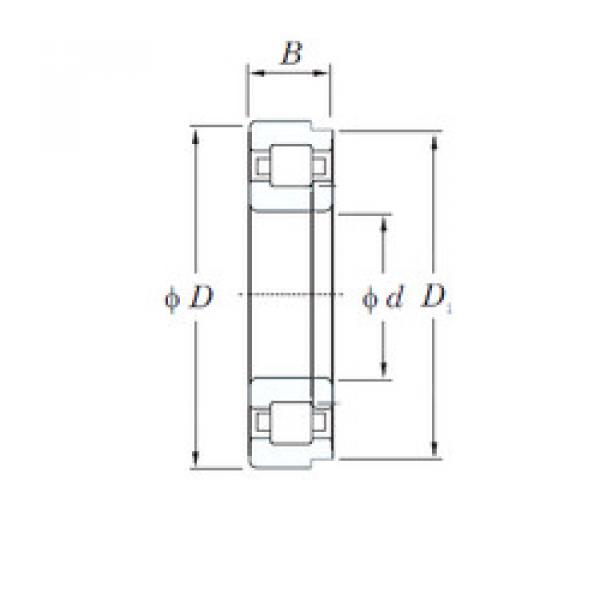 Original SKF Cylindrical Roller Bearings NUP1005 KOYO #1 image