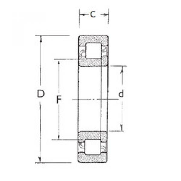 Original SKF Cylindrical Roller Bearings NUP204 FBJ #1 image