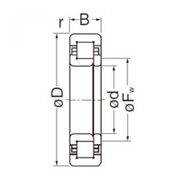 Original SKF Cylindrical Roller Bearings NUP205EG NACHI #1 image