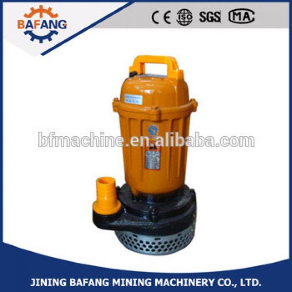 Electric small farming draw water submersible pump #1 image