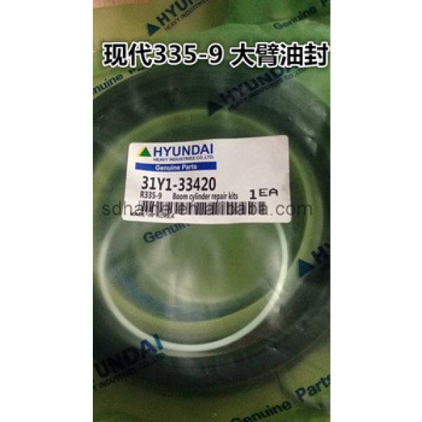 Hyundai R335-9 boom cylinder repair kit for excavator R320lc-9 31Y1-33420 #1 image