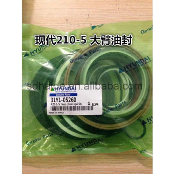 31Y1-05260 excavator hyundai r210-5 boom cylinder repair kit #1 image