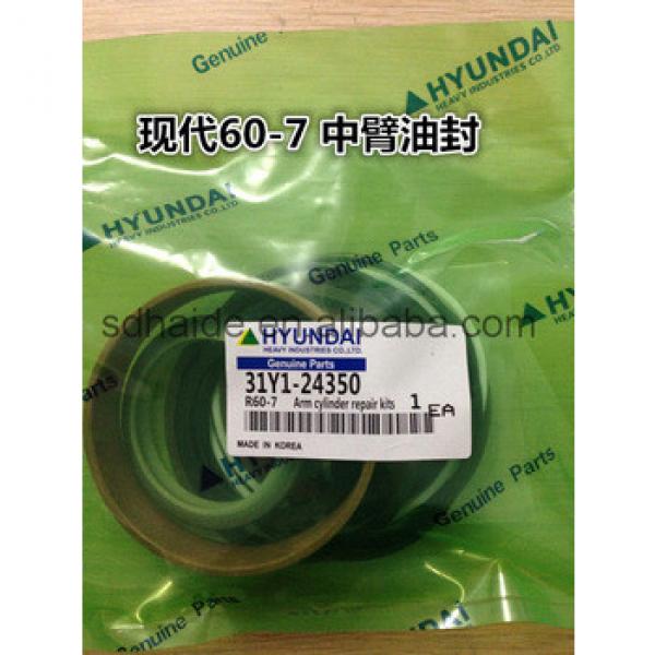 31Y1-24350 Hyundai R60-7 arm cylinder repair kits for R55-7 R55-7A R55W-7 R55W-7A #1 image