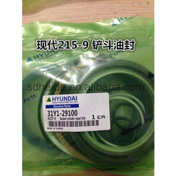 31Y1-29100 Hyundai R215-9 bucket cylinder repair kits #1 image