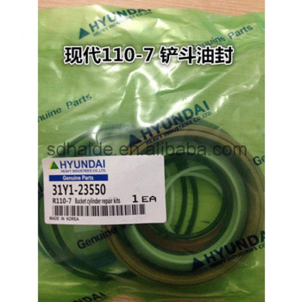 31Y1-23550 Hyundai R110-7 bucket cylinder repair kits for R110-7A #1 image