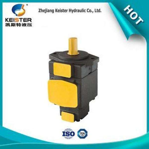 China wholesale high quality super quality experimental vane vacuum pump #1 image