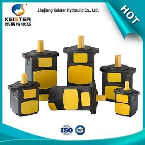 chinese DVLB-3V-20 products wholesale micro hydraulic pump #1 image