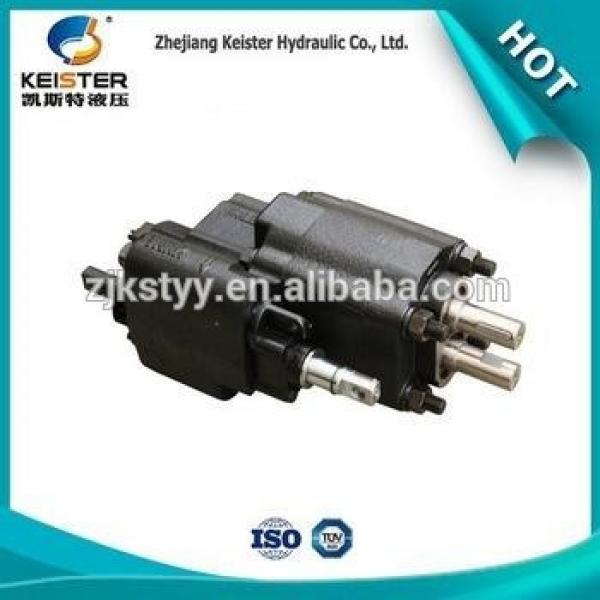 High DS11P-20-L Precision heavy truck part gear pump #1 image