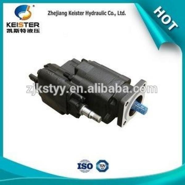 Alibaba DP210-20-L china supplier agricultural gear pump #1 image