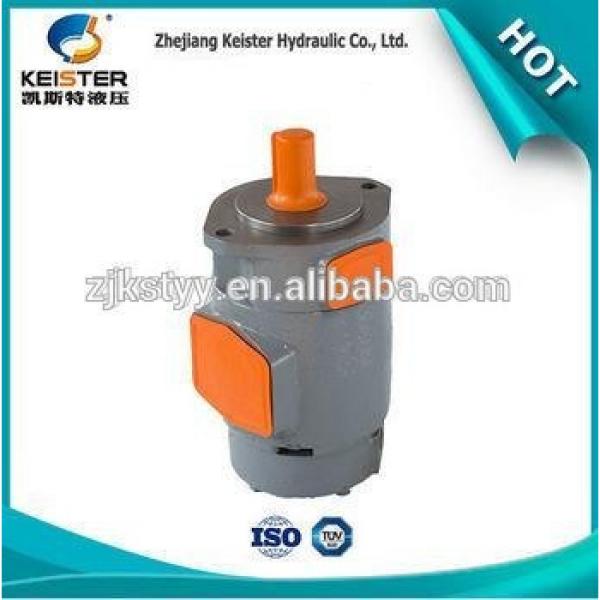 Professional DVSF-3V-20 hydraulic fixed displacement vane pump #1 image