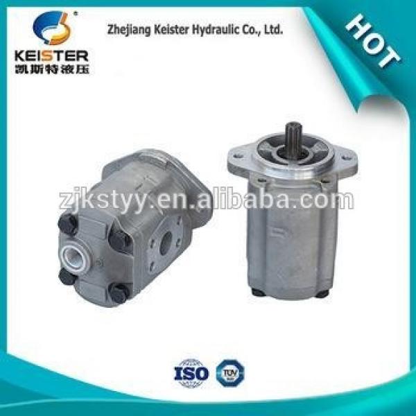 China DS14P-20 goods wholesalehigh pressure micro gear pump #1 image