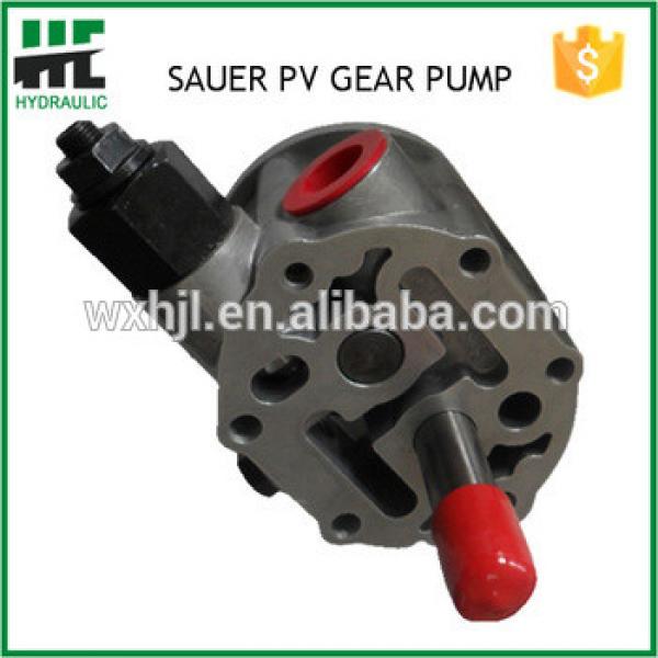 Hydraulic Gear Pumps Sauer PV20 21 22 23 24 Series High Pressure Pump #1 image