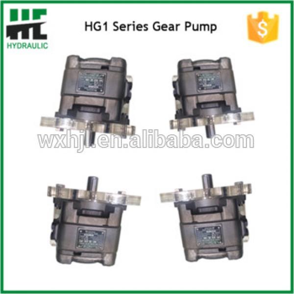 Hydraulic Pump For Injection Moulding Machine HG1 Series Gear Pump #1 image