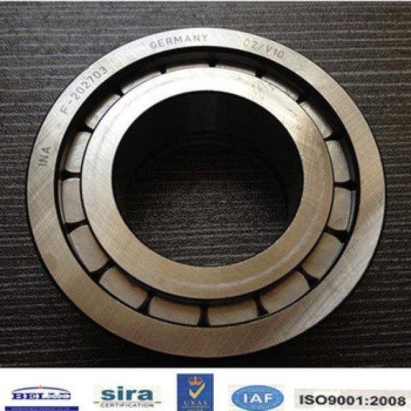 Bearing F-204781 for hydraulic pump Your reliable supplier #1 image