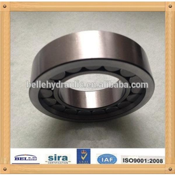 Bearing F-207813 for A11VO190 pump Factory price #1 image