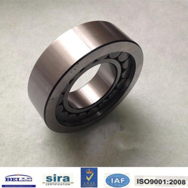 Bearing F-201380 for A4V125 pump Large stocks and Fast delivery #1 image