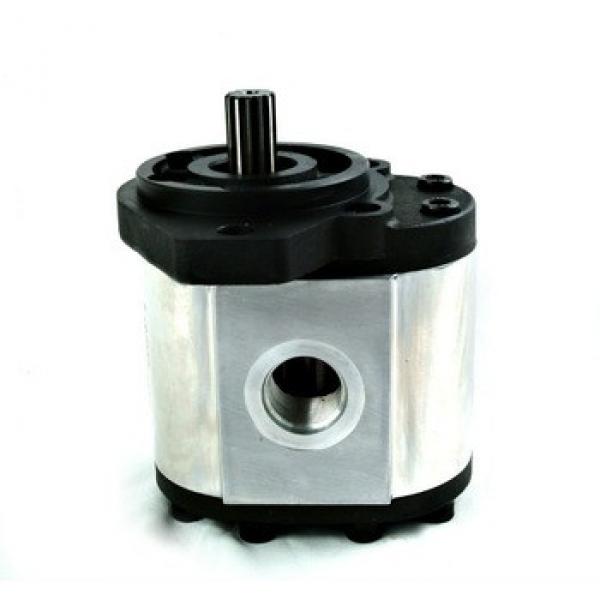 Hydraulic Gear Pump #1 image