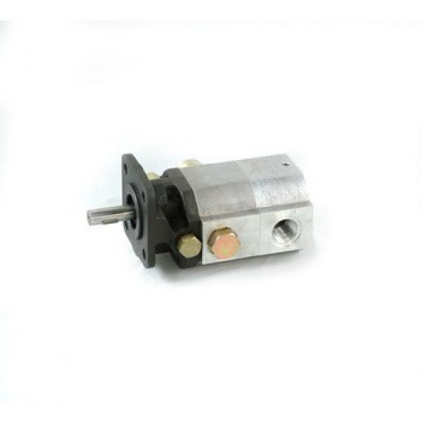 log splitter mini hydraulic low gear pump, CBT-8.8/2.1 HI/LO gear pump #1 image