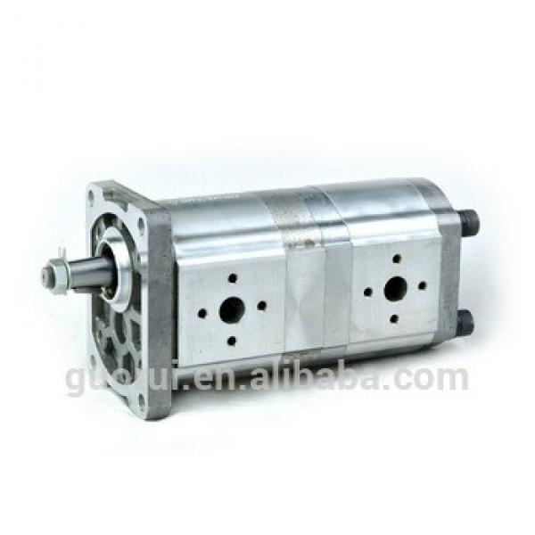 hydraulic double gear pump, group 2 double pump #1 image