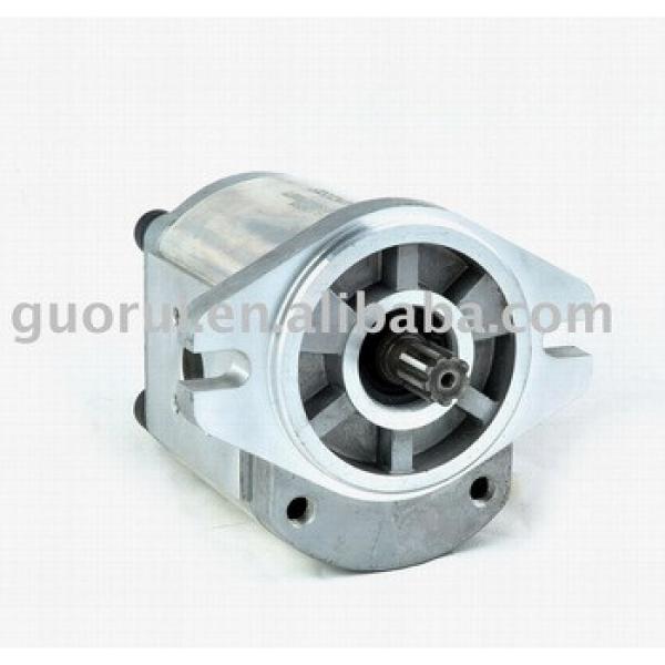 Hydraulic gear pump: 2PF**L**P02 #1 image