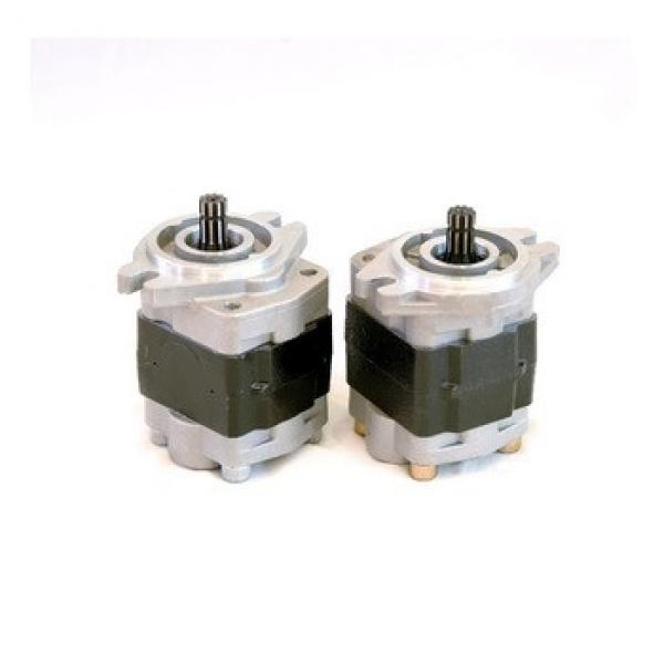 Hydraulic gear pump #1 image