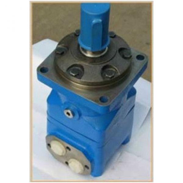 BMT160, BMT360, BMT400,BMT500, BMT800 Orbit Motor #1 image