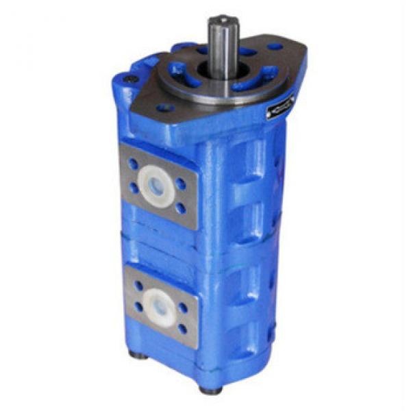 CBGj1032/1032 Double Hydraulic cast iron gear pump #1 image