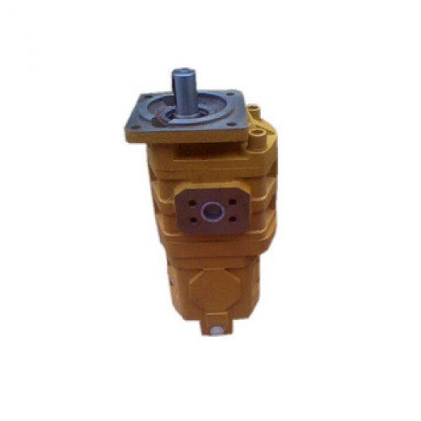 CBGj Wide Used Double Hydraulic cast iron gear pump #1 image