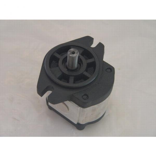 blender hydraulic gear motor #1 image