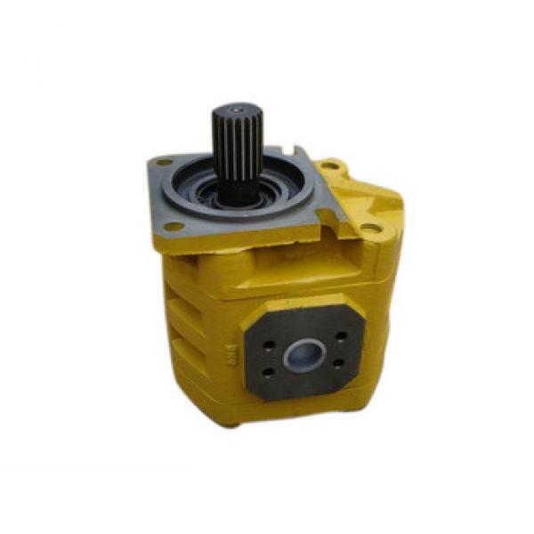 CBGj3125 Displacement 125 ml/r Wide used High Pressure Hydraulic cast iron gear pump #1 image