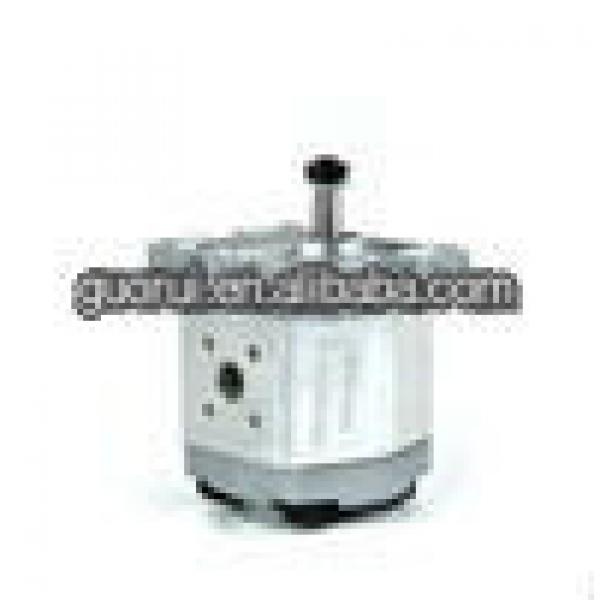 Group 2 series gear Rotary pump for agriculture with competitive price #1 image