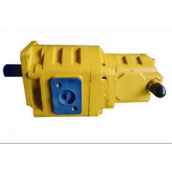 CBGj3140/1020 Popular Double Hydraulic cast iron gear pump #1 image