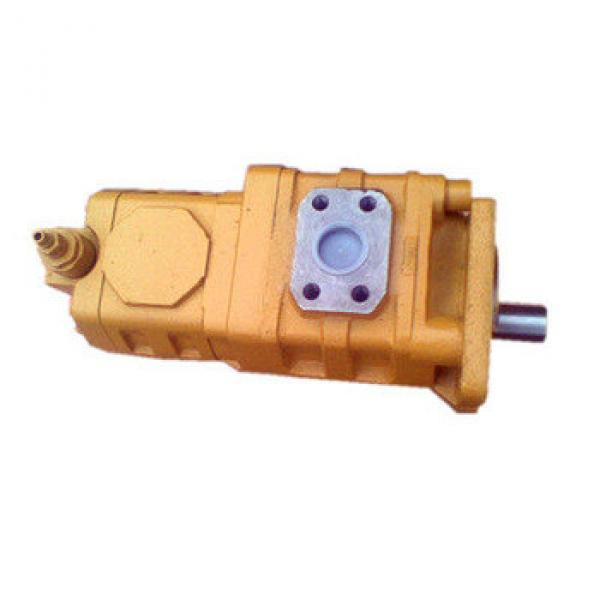 CBGj2125/2025 Double Hydraulic cast iron gear pump #1 image