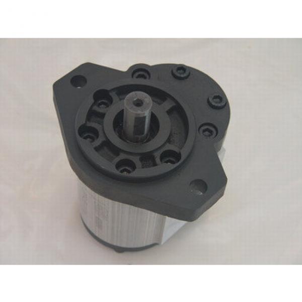 China hydraulic gear motor supplier #1 image