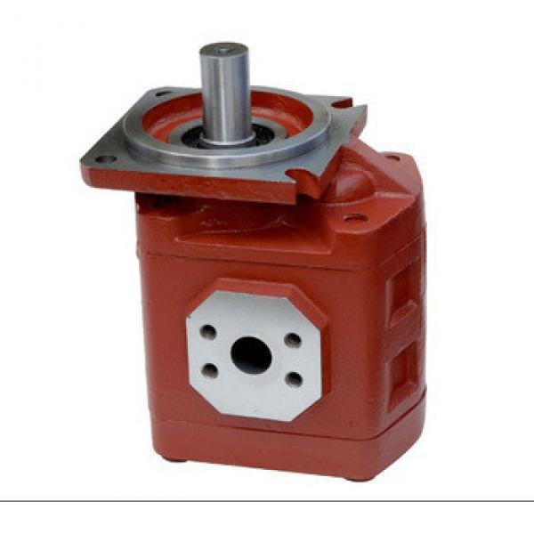 CBGj2040 Group2 Series Hydraulic cast iron gear pump #1 image