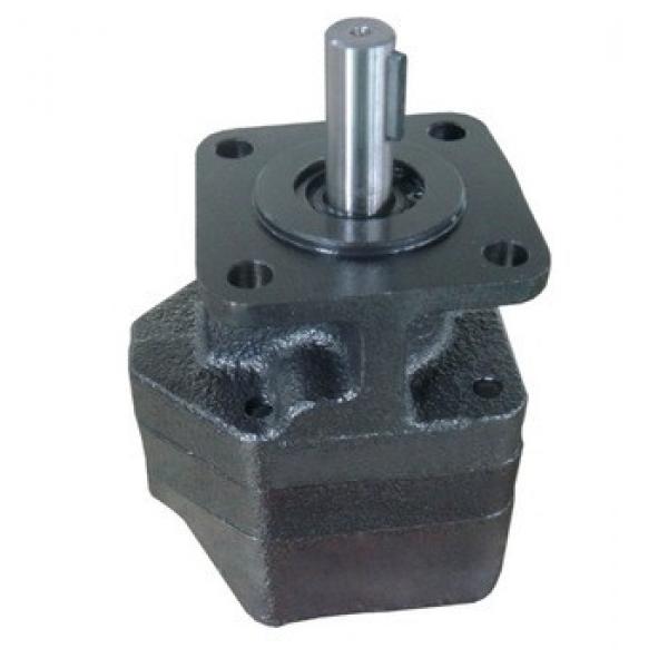 engineering hydraulic gear motor for wanted distributor #1 image