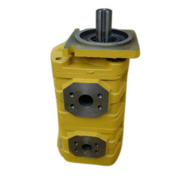 CBGj2125/2063 Series High Quality Double Hydraulic cast iron gear pump #1 image