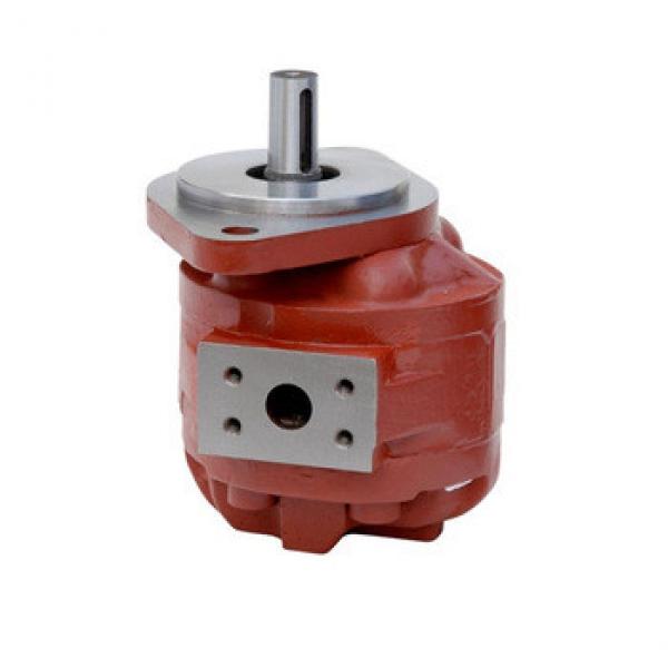 all types hydraulic gear motors #1 image