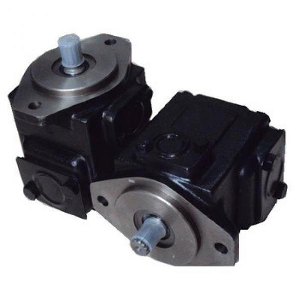 parker vane pump T67DC T67EC T67EDC T67DCW T6CC T6DC T6ED T6EC T6DCC T6EDC T6CCW T6 T7 T67 Denison Vane Pump #1 image