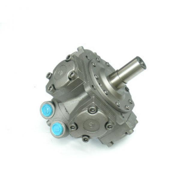 axial piston hydraulic motor #1 image