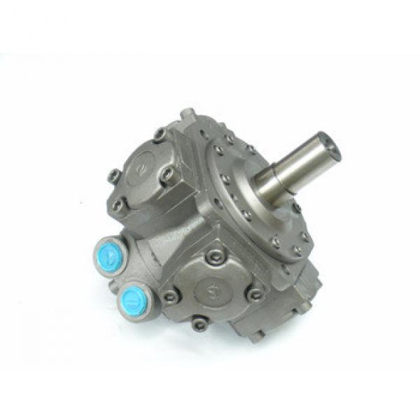 Bolais OEM INTERMOT RADIAL HYDRAULIC PISTON MOTORS #1 image