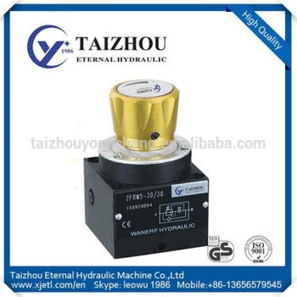 2FRM5 Hydraulic motorized Control Valve Electric Flow Control Valve Solenoid Valve 24V #1 image