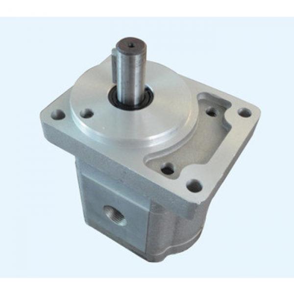 hydraulic motor high speed hydraulic gear motor #1 image